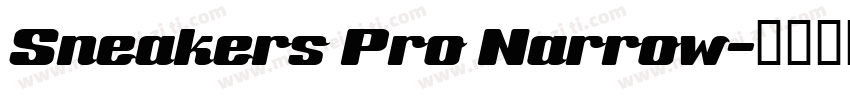 Sneakers Pro Narrow字体转换